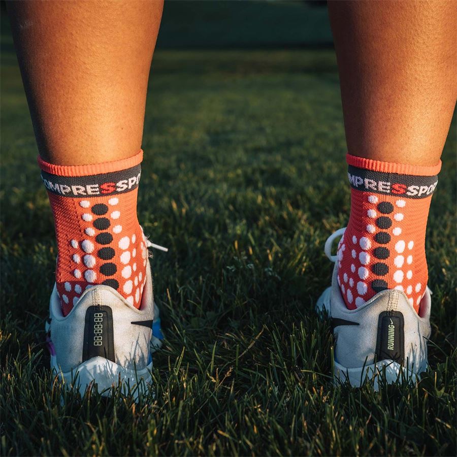 PRO RACING SOCKS V3.0 RUN HIGH Compressport | PRSV3RHCORAL