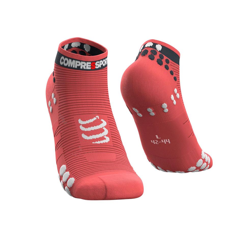 PRO RACING SOCKS V3.0 RUN LOW Compressport | PRSV3RLCORAL
