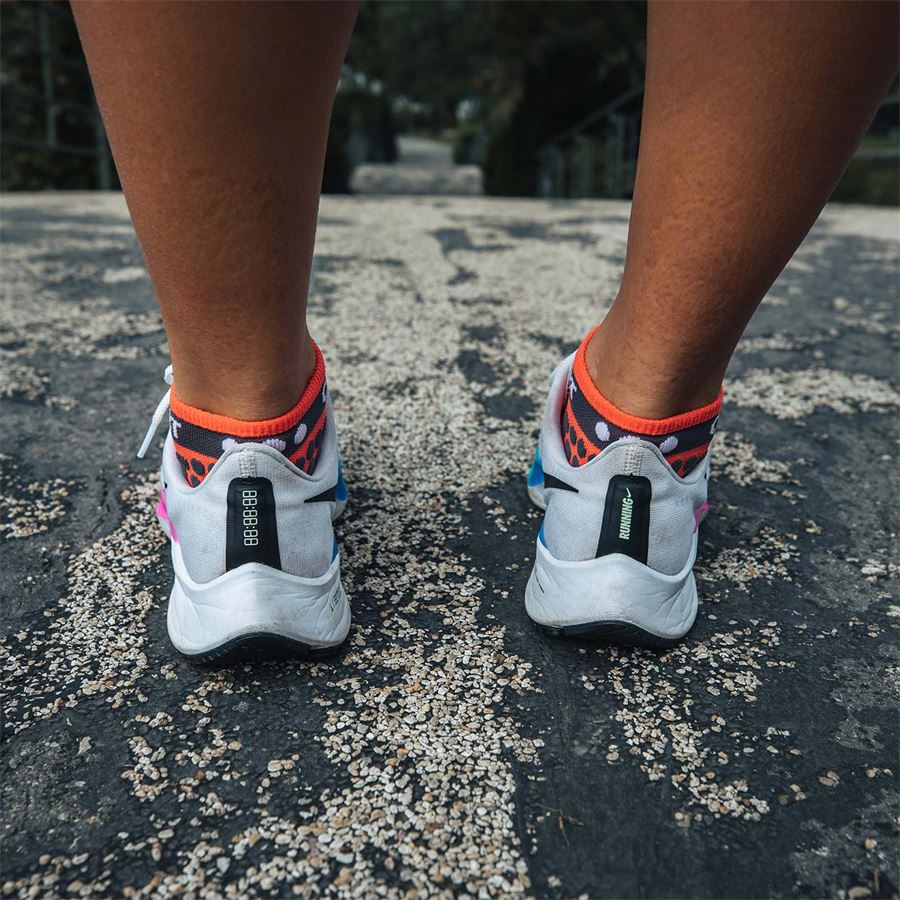 PRO RACING SOCKS V3.0 RUN LOW Compressport | PRSV3RLCORAL