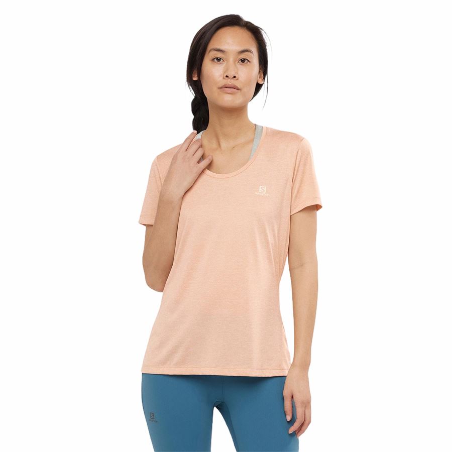 AGILE SS TEE W Salomon | LC1608600X