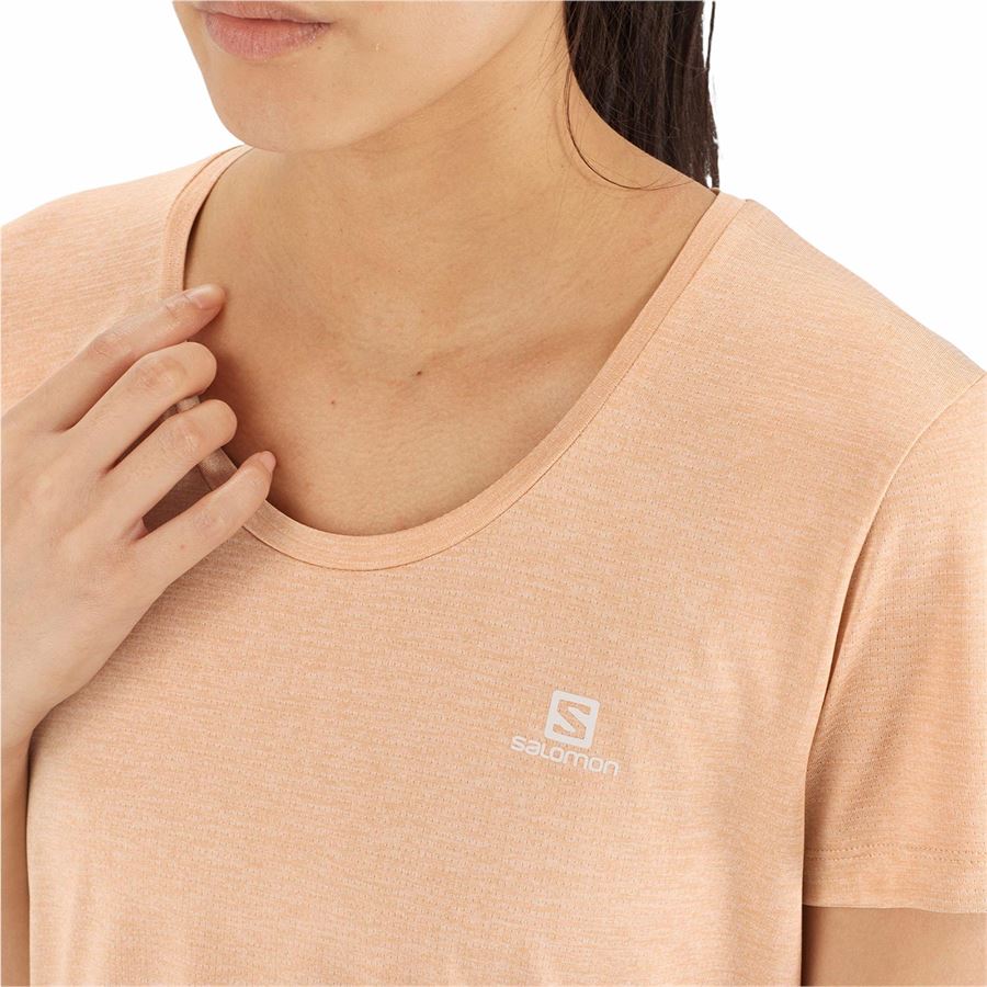 AGILE SS TEE W Salomon | LC1608600X
