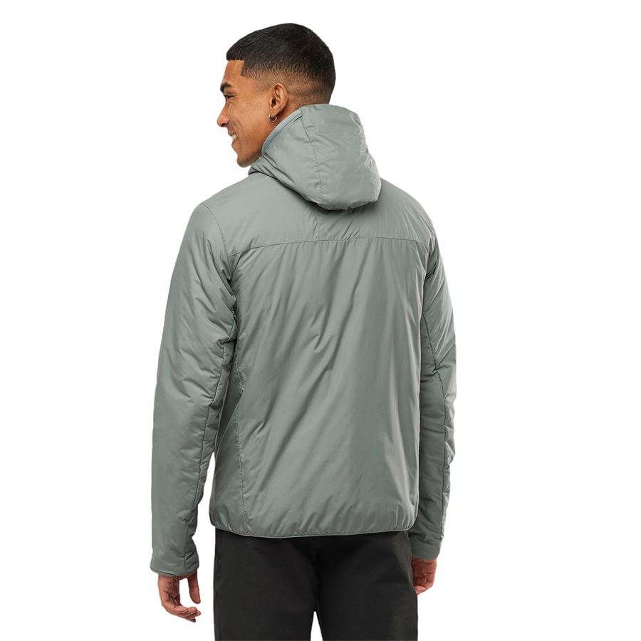 OUTPEAK WARM PANT MOUTRACK INSUL HOODIE M Salomon | LC1610400X