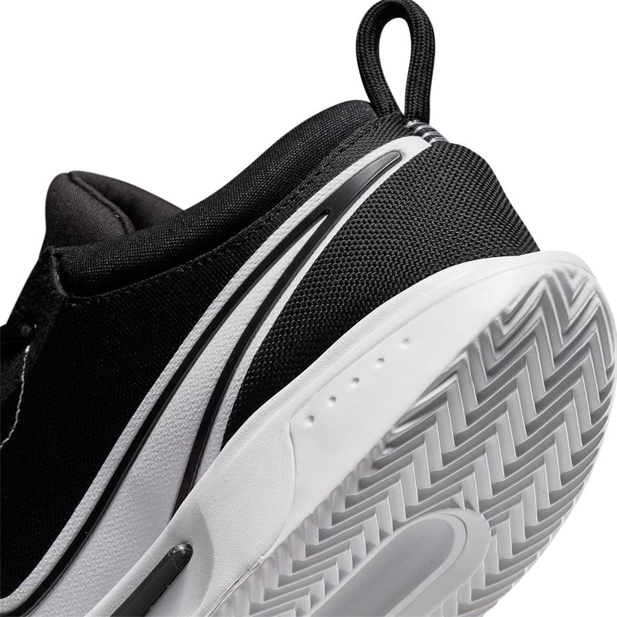M NIKE ZOOM COURT PRO CLY Nike | DH2603010