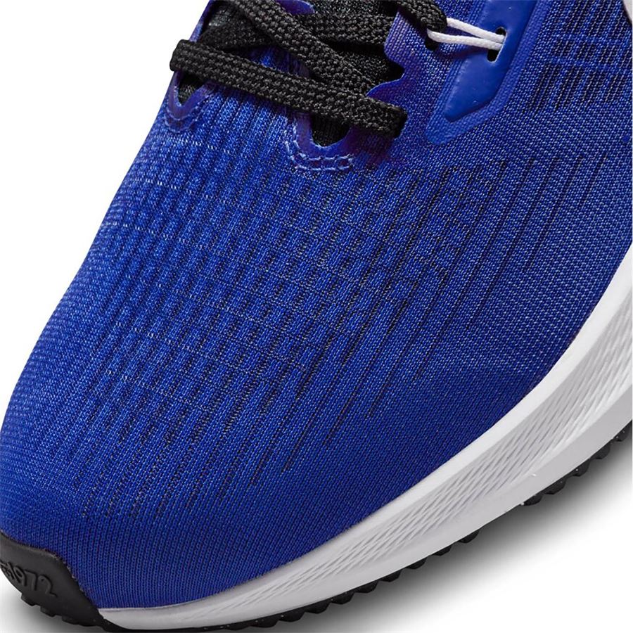 NIKE AIR ZOOM PEGASUS 39 Nike | DH4071400