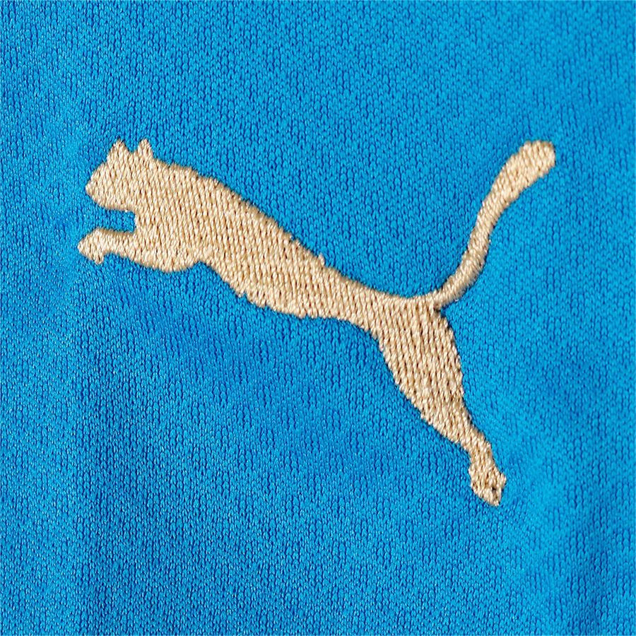 FIGC HOME JERSEY REPLICA Puma | 76564301