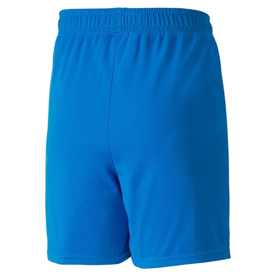 FIGC SHORT REPLICA JR Puma | 76566901