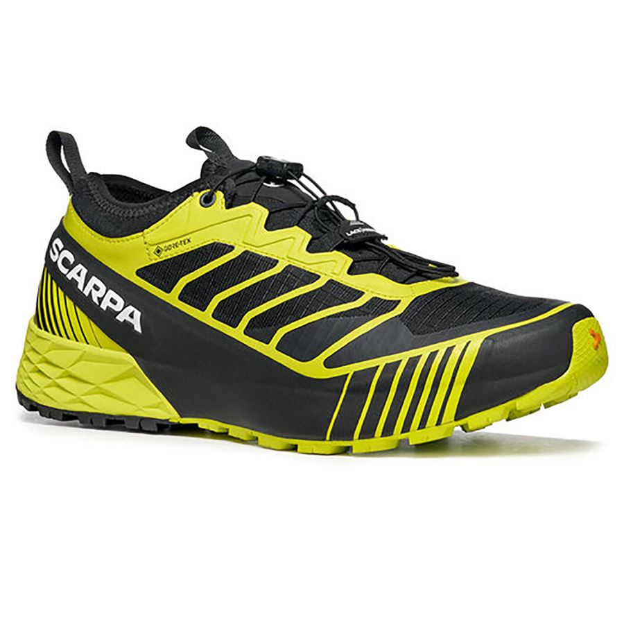 Ribelle Run Gtx Scarpa | 330712011