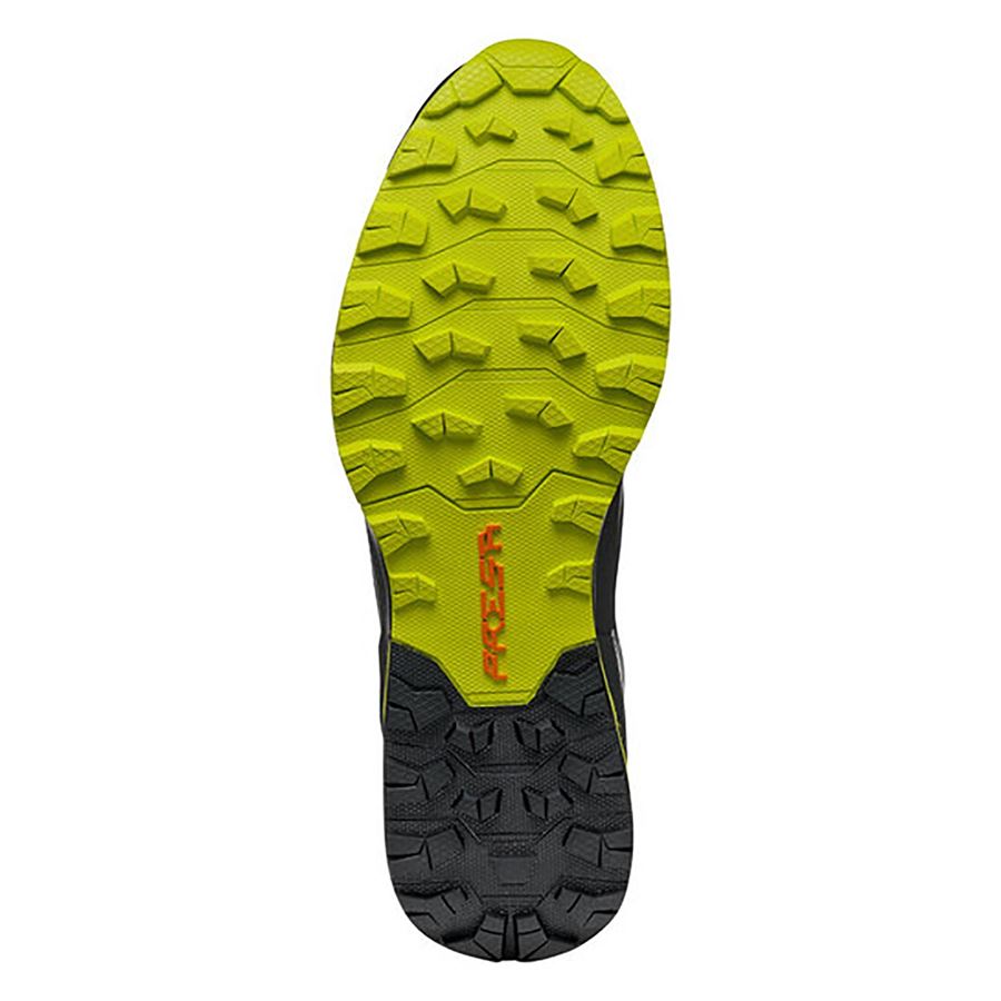 Ribelle Run Gtx Scarpa | 330712011