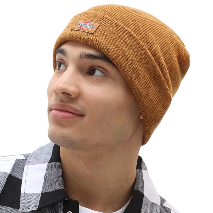 GIBSLAND BEANIE Dickies | DK0A4X7KBD0