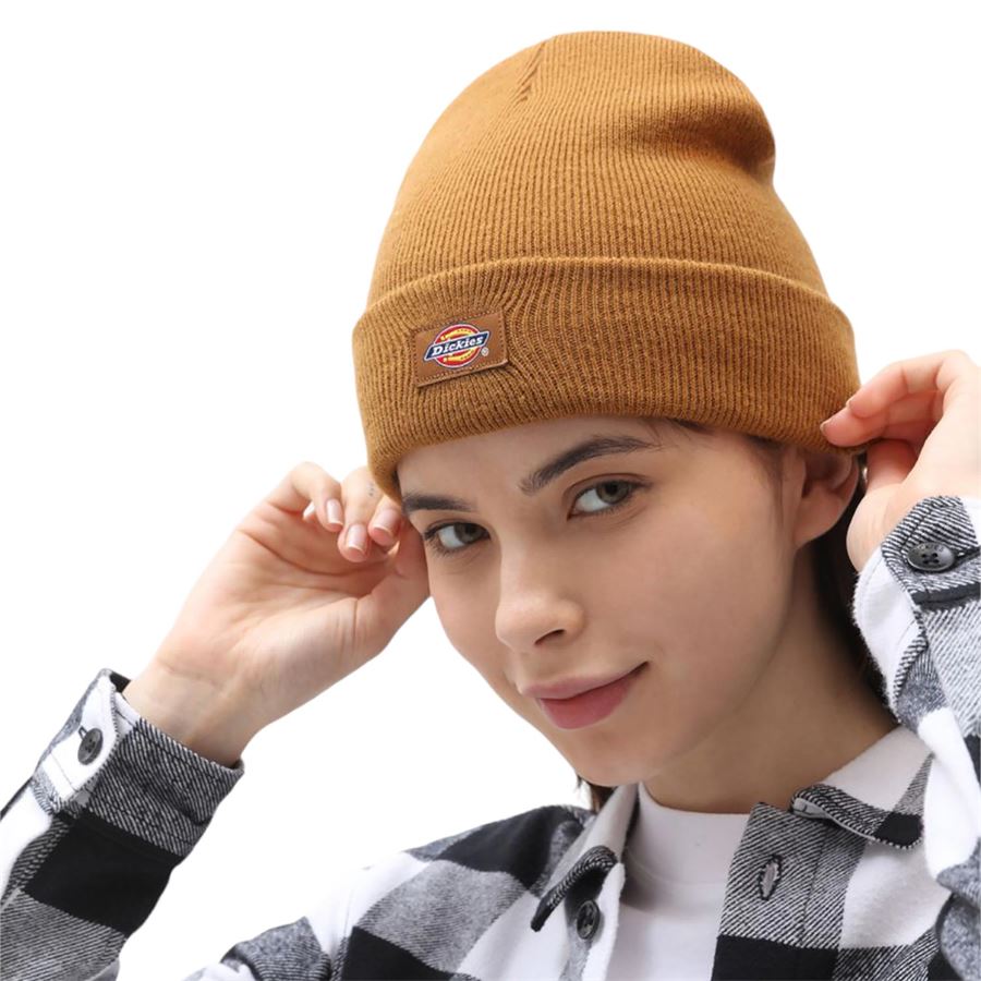 GIBSLAND BEANIE Dickies | DK0A4X7KBD0