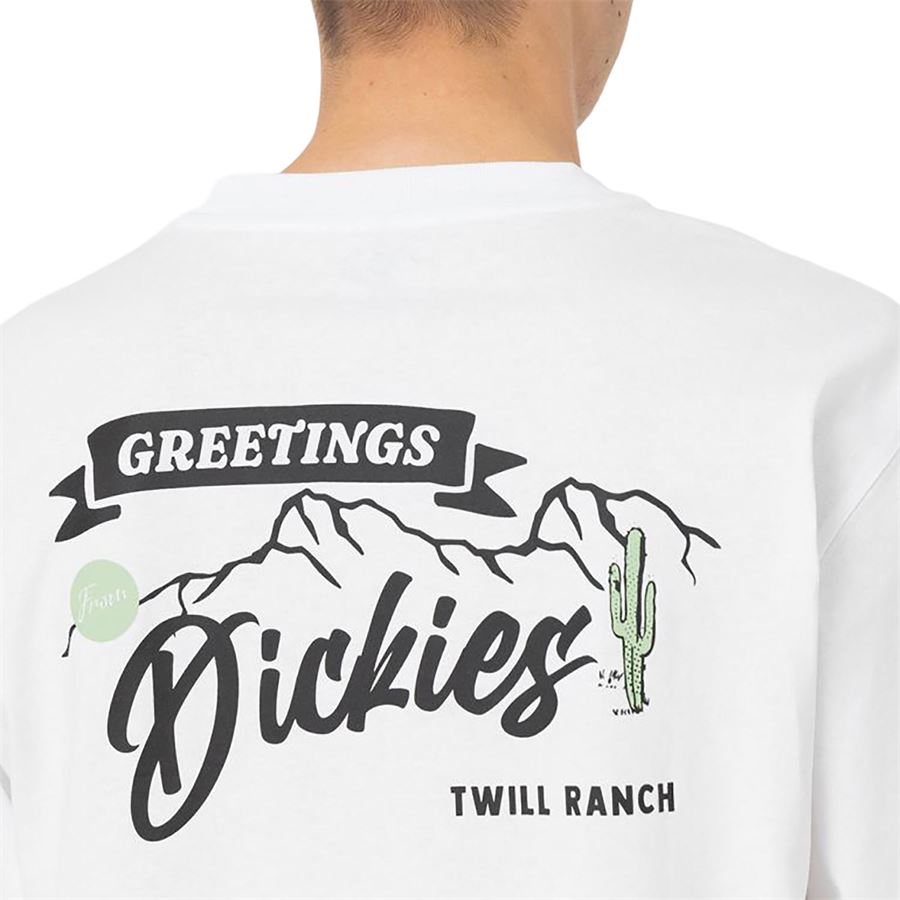 DIGHTON TEE LS Dickies | DK0A4YFFWHX