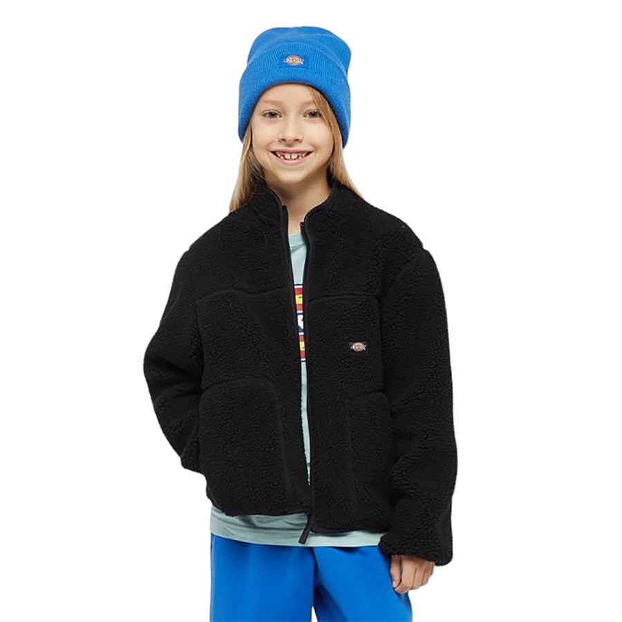 Pile Mount Hope felpa da bambino Dickies | DK0A4Z3TBLK