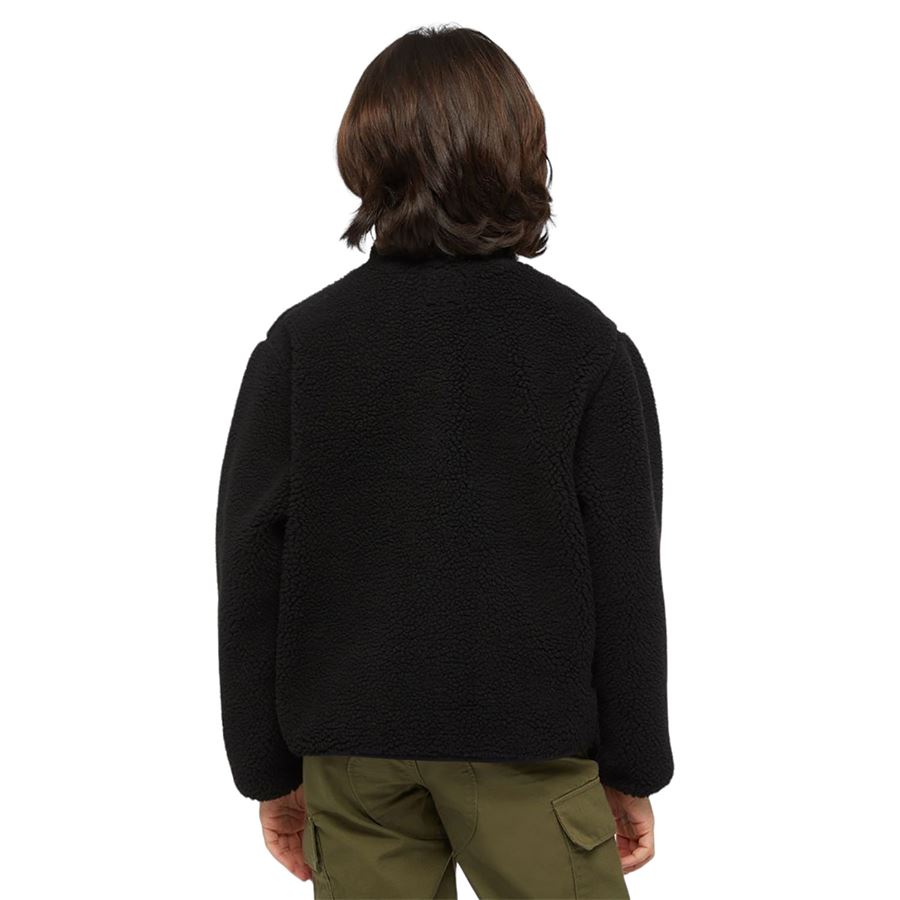 Pile Mount Hope felpa da bambino Dickies | DK0A4Z3TBLK