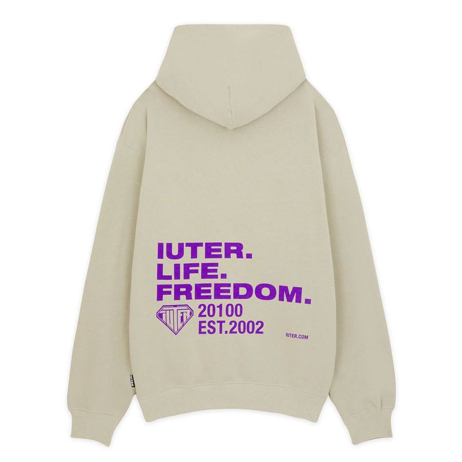 Freedom Hoodie felpa da uomo con cappuccio Iuter | 24WISH03ICE
