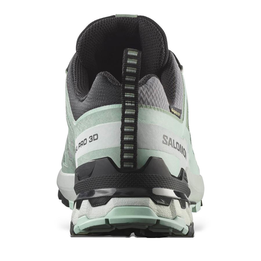 Xa Pro 3d V9 Gtx W Scarpe da trail running Salomon | L47823100X