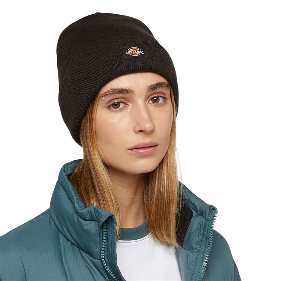  Dickies | DK0A4X7K0DB