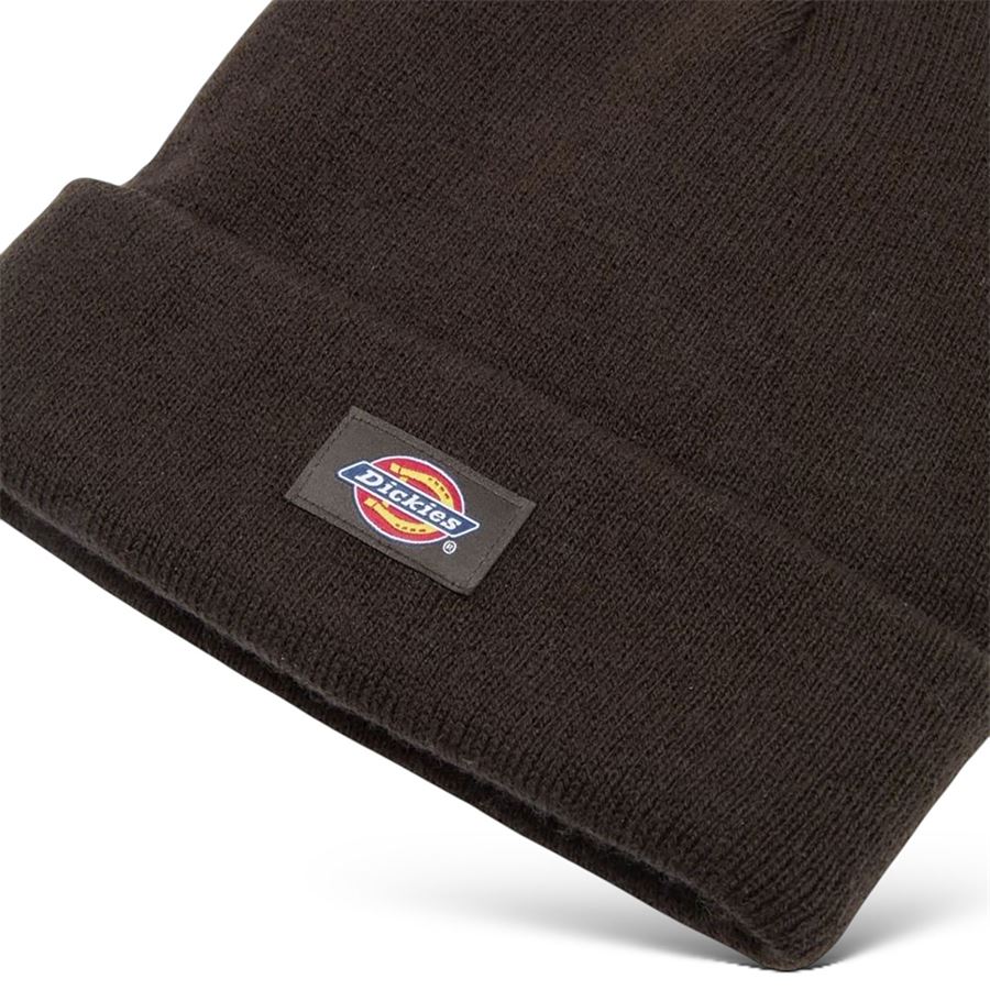  Dickies | DK0A4X7K0DB