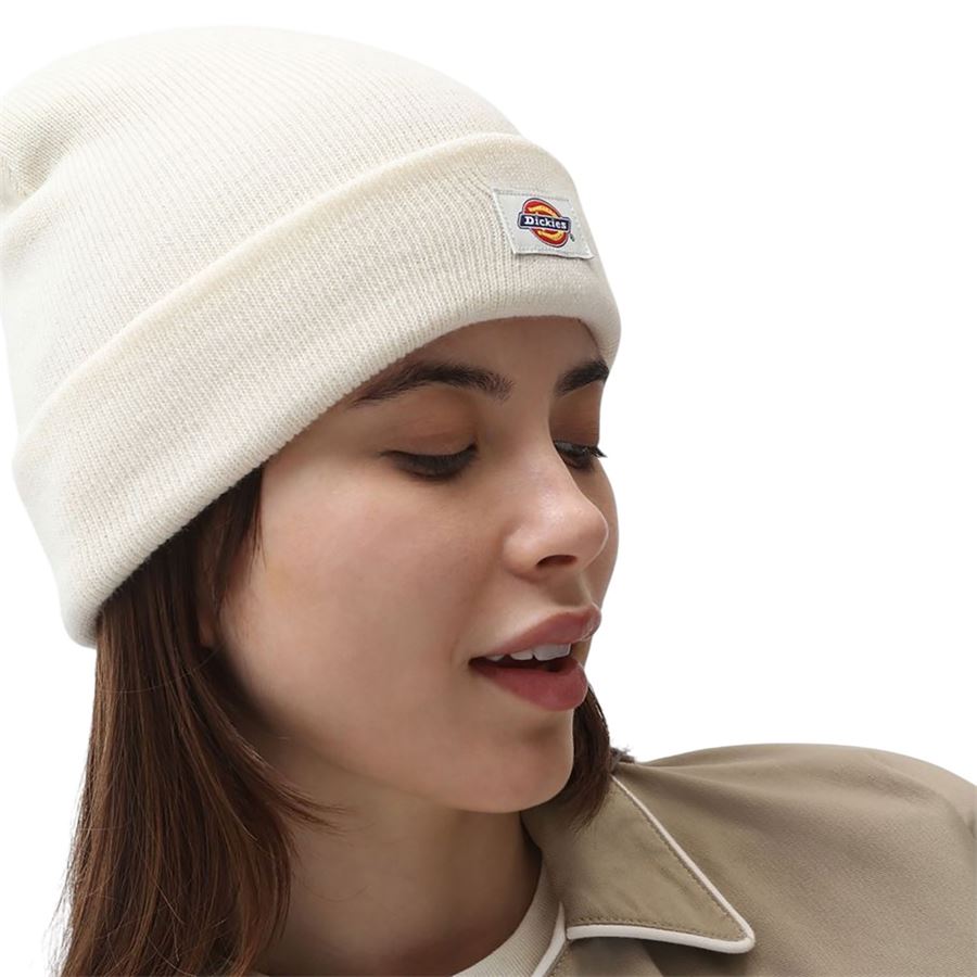  Dickies | DK0A4X7KECR