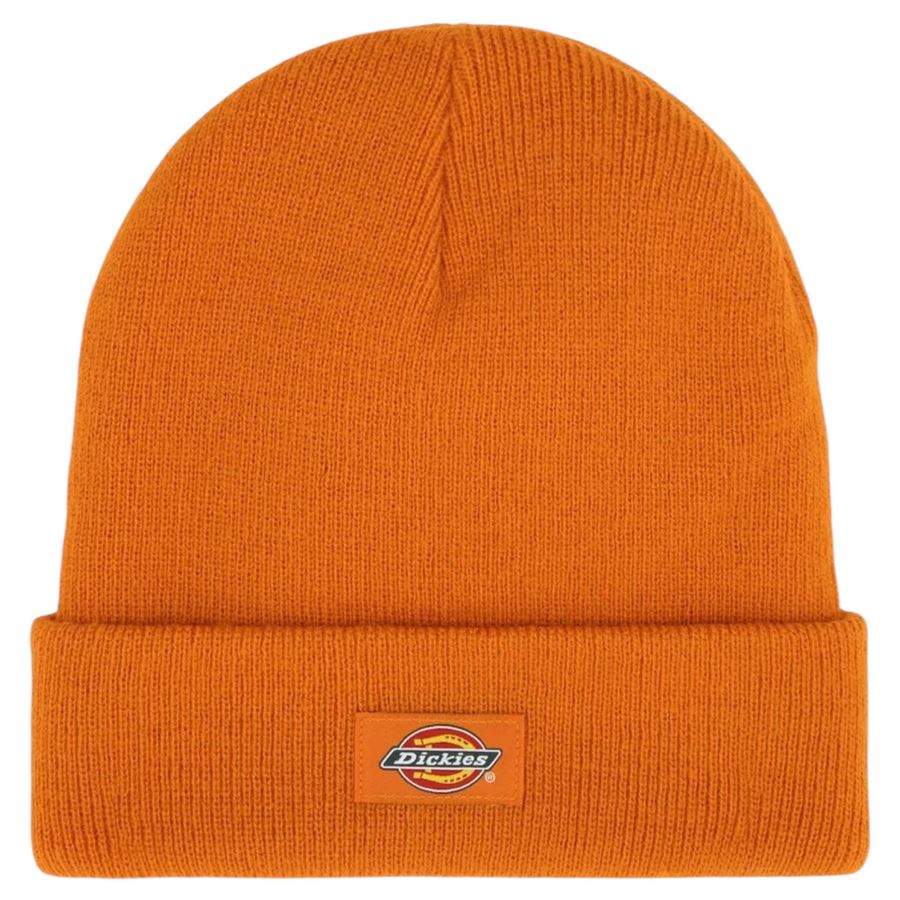  Dickies | DK0A4X7KK64