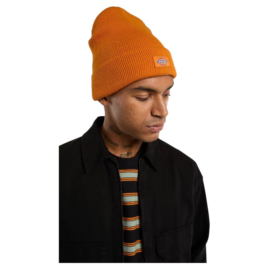  Dickies | DK0A4X7KK64