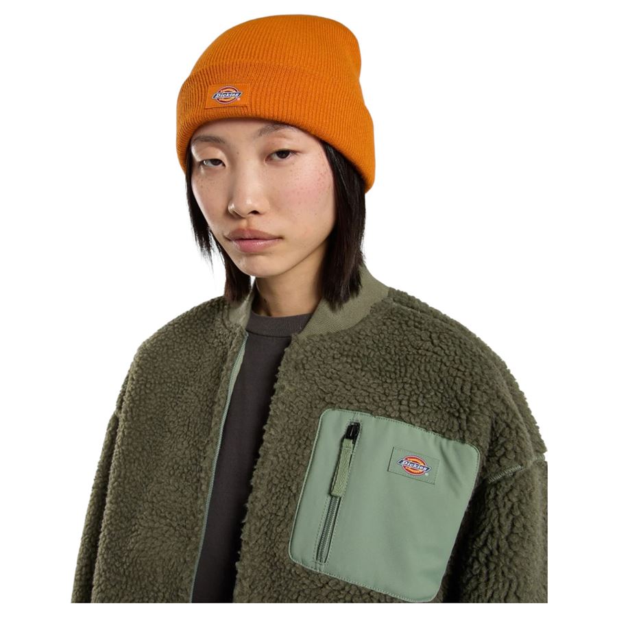  Dickies | DK0A4X7KK64