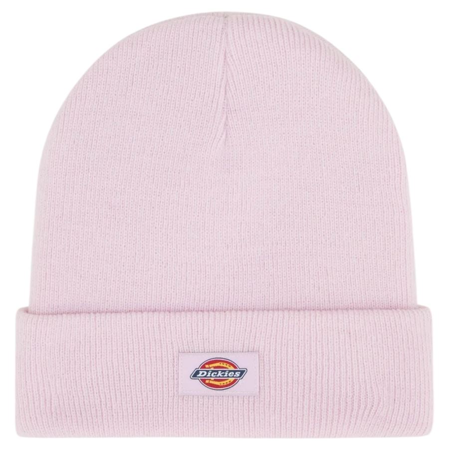  Dickies | DK0A4X7KK73