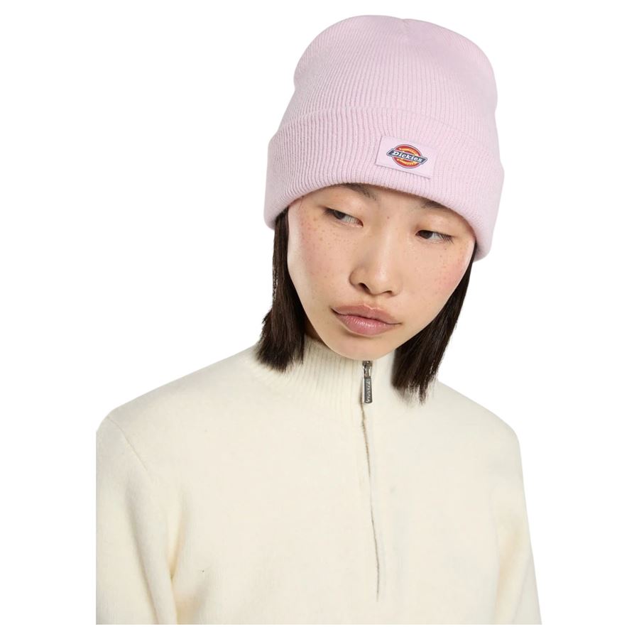  Dickies | DK0A4X7KK73