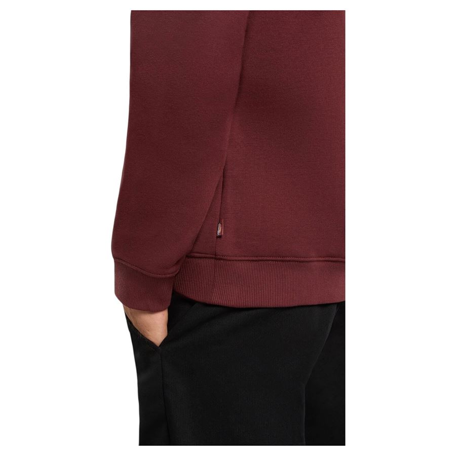 Oakport Hoodie felpa da uomo con cappuccio Dickies | DK0A4XCDL16