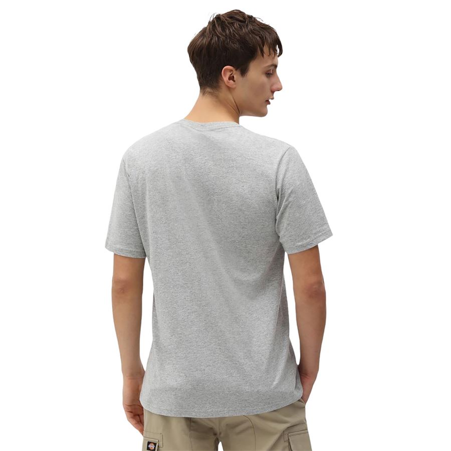  Dickies | DK0A4XDBGYM