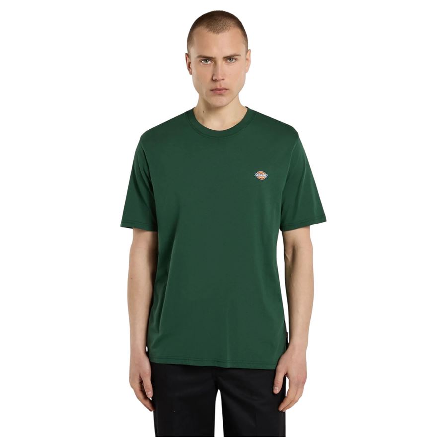 T-Shirt Mapleton a maniche corte da uomo Dickies | DK0A4XDBPIN