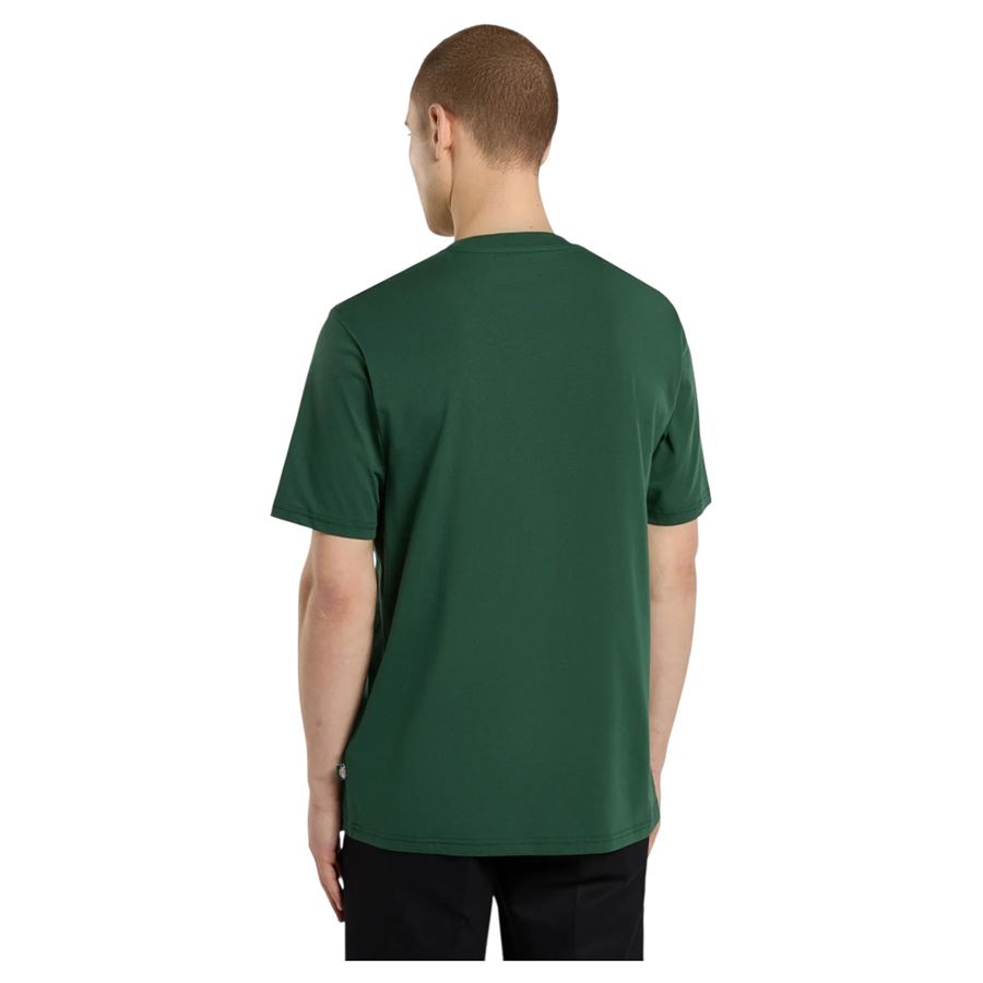 T-Shirt Mapleton a maniche corte da uomo Dickies | DK0A4XDBPIN