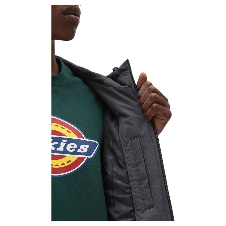 New Sarpy giubbetto da uomo con cappuccio Dickies | DK0A4XG8CH0