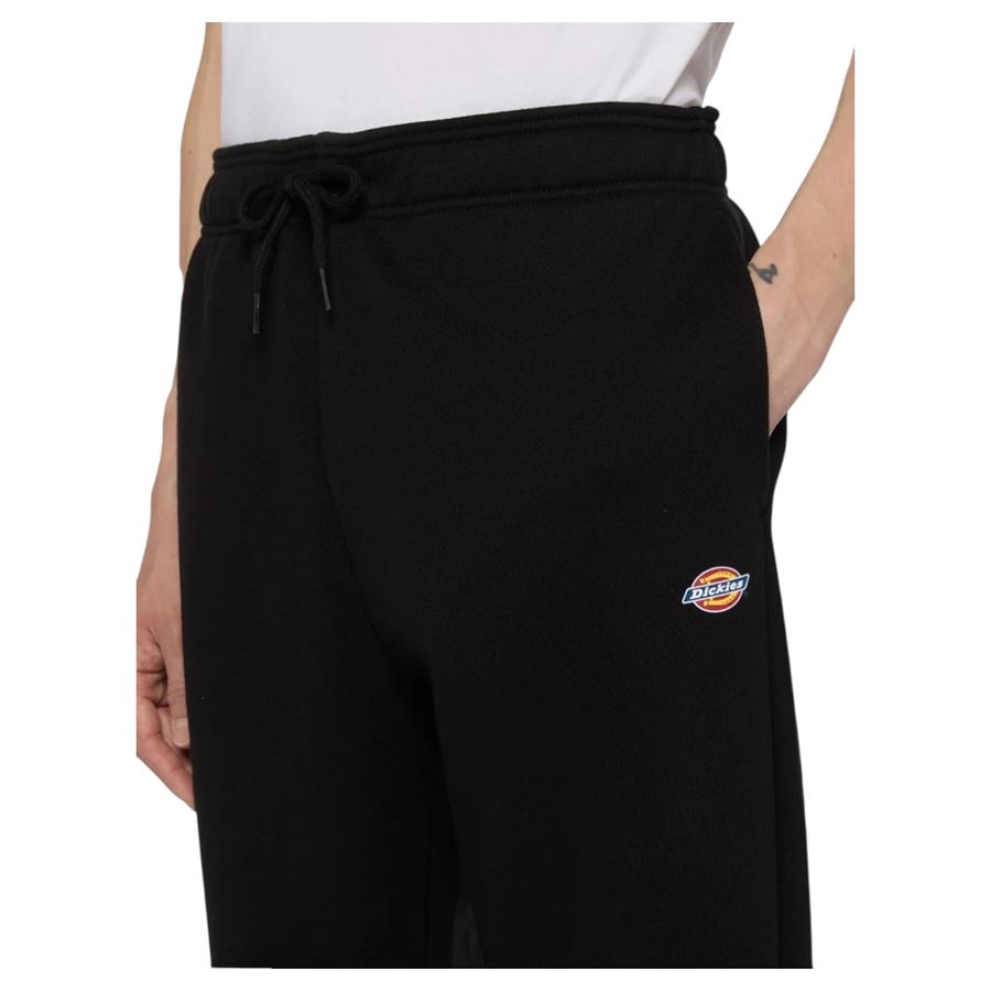  Dickies | DK0A4XIMBLK