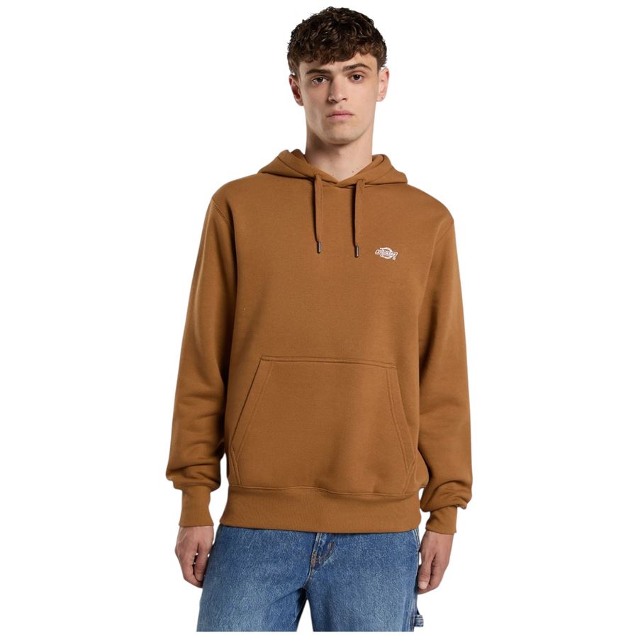 Summerdale Hoodie felpa con cappuccio da uomo Dickies | DK0A4Y6P0BD
