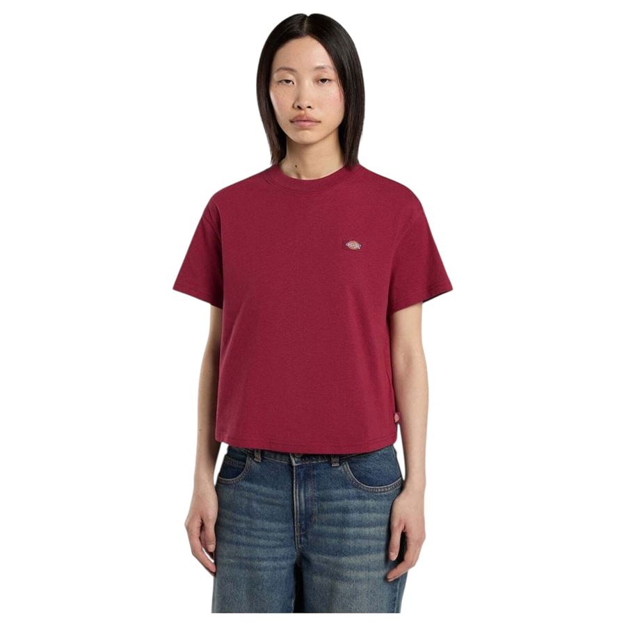  Dickies | DK0A4Y8LK74