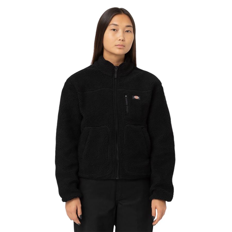  Dickies | DK0A4YGNBLK