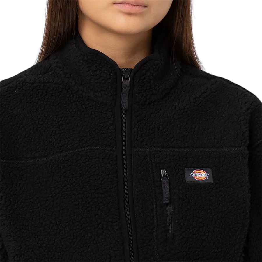 Dickies | DK0A4YGNBLK