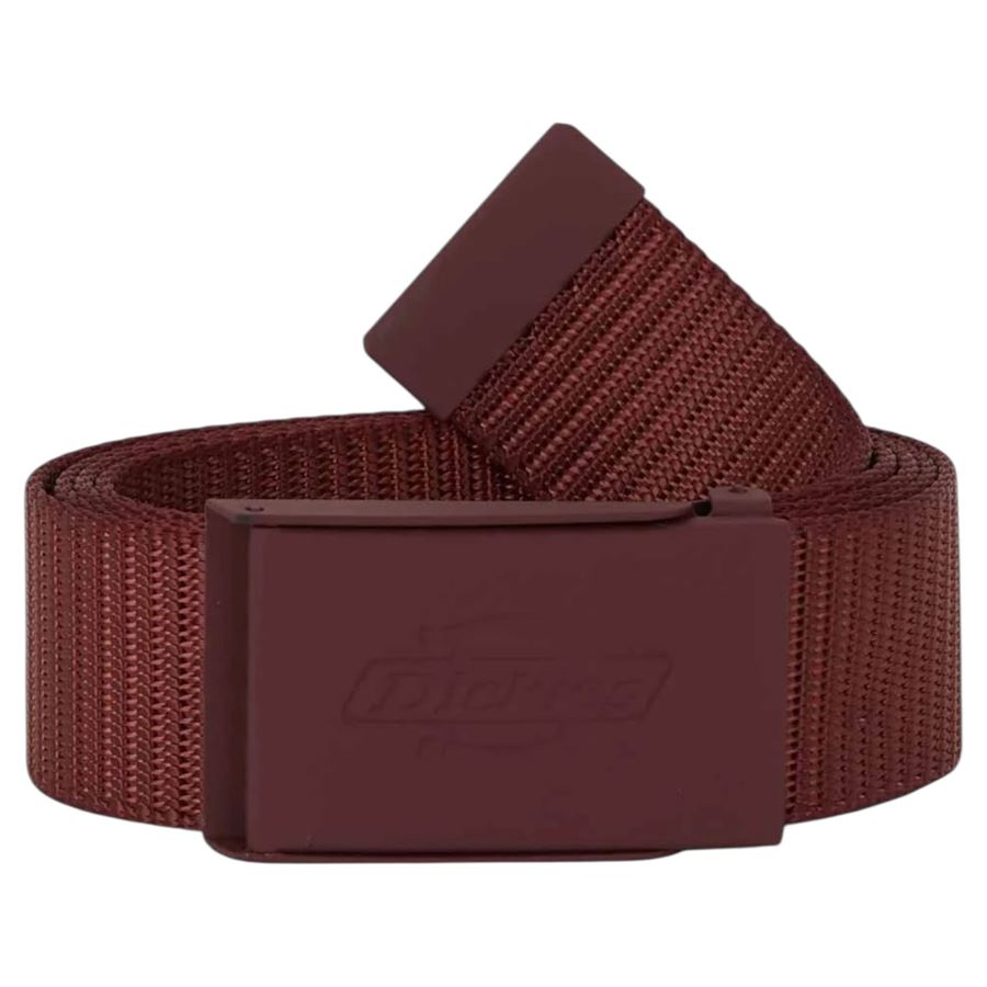  Dickies | DK0A4Z3KL16