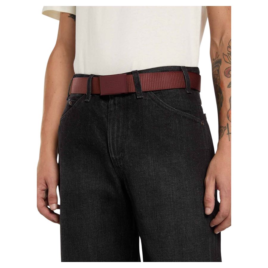  Dickies | DK0A4Z3KL16