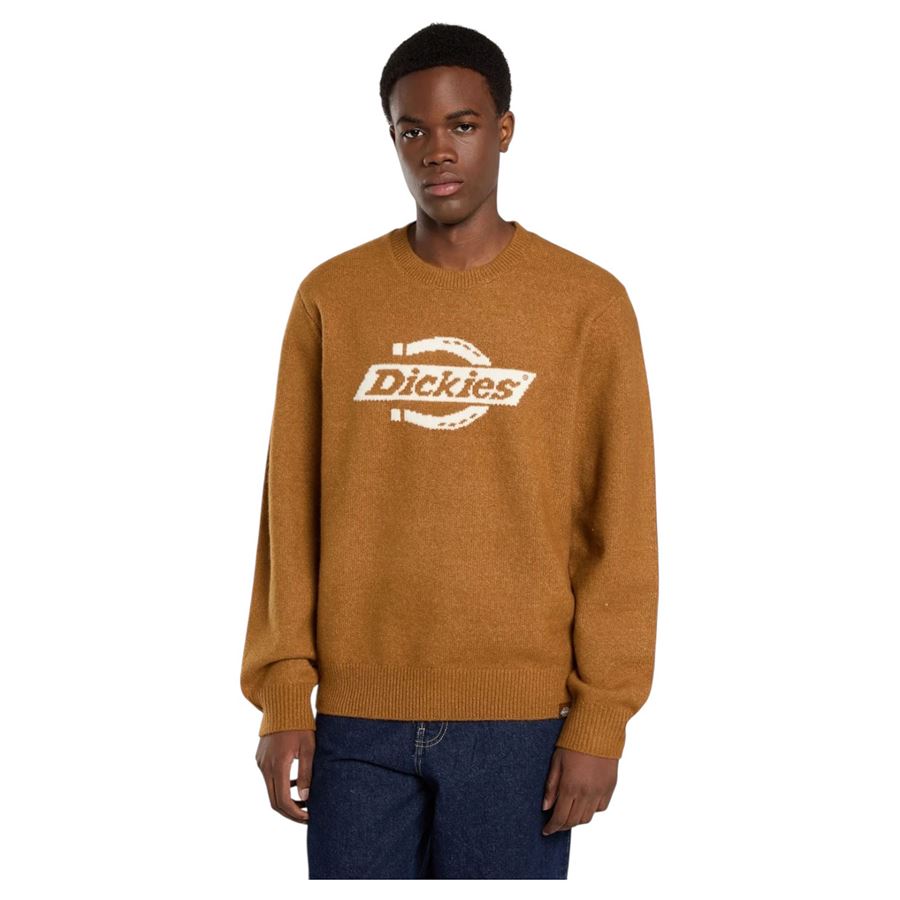 Ruston sweater maglione da uomo Dickies | DK0A87OQ0BD