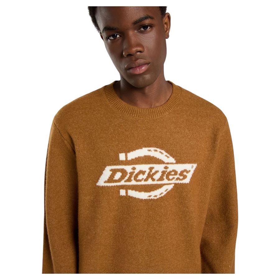 Ruston sweater maglione da uomo Dickies | DK0A87OQ0BD