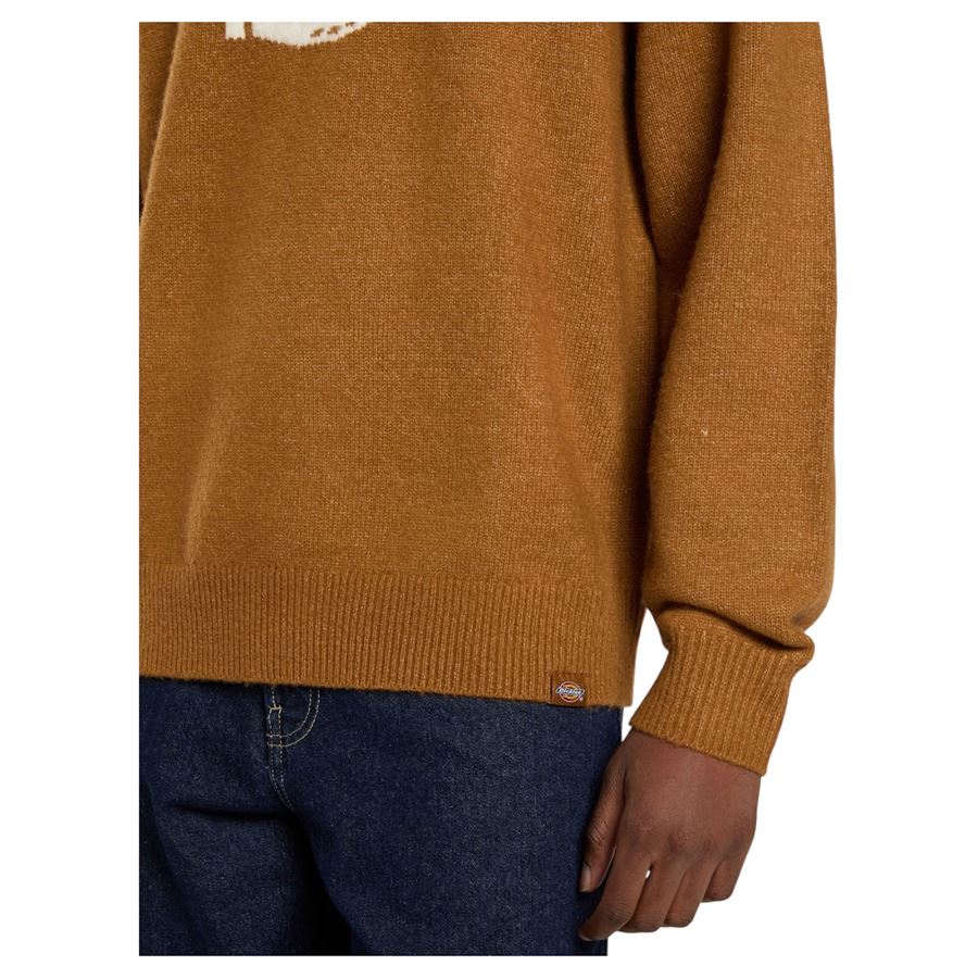 Ruston sweater maglione da uomo Dickies | DK0A87OQ0BD