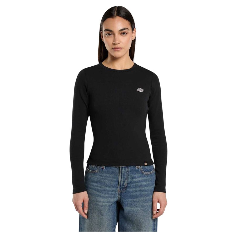  Dickies | DK0A87QABLK