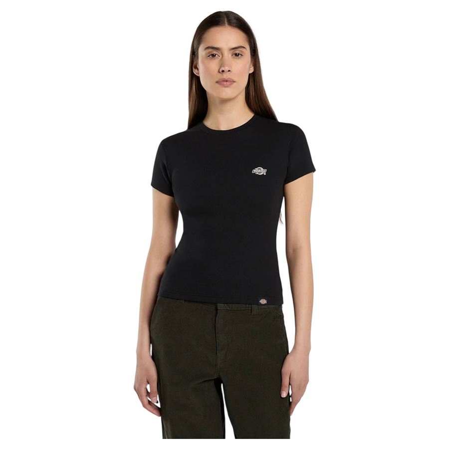  Dickies | DK0A87QBBLK