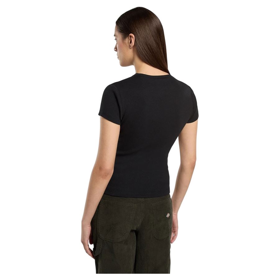  Dickies | DK0A87QBBLK