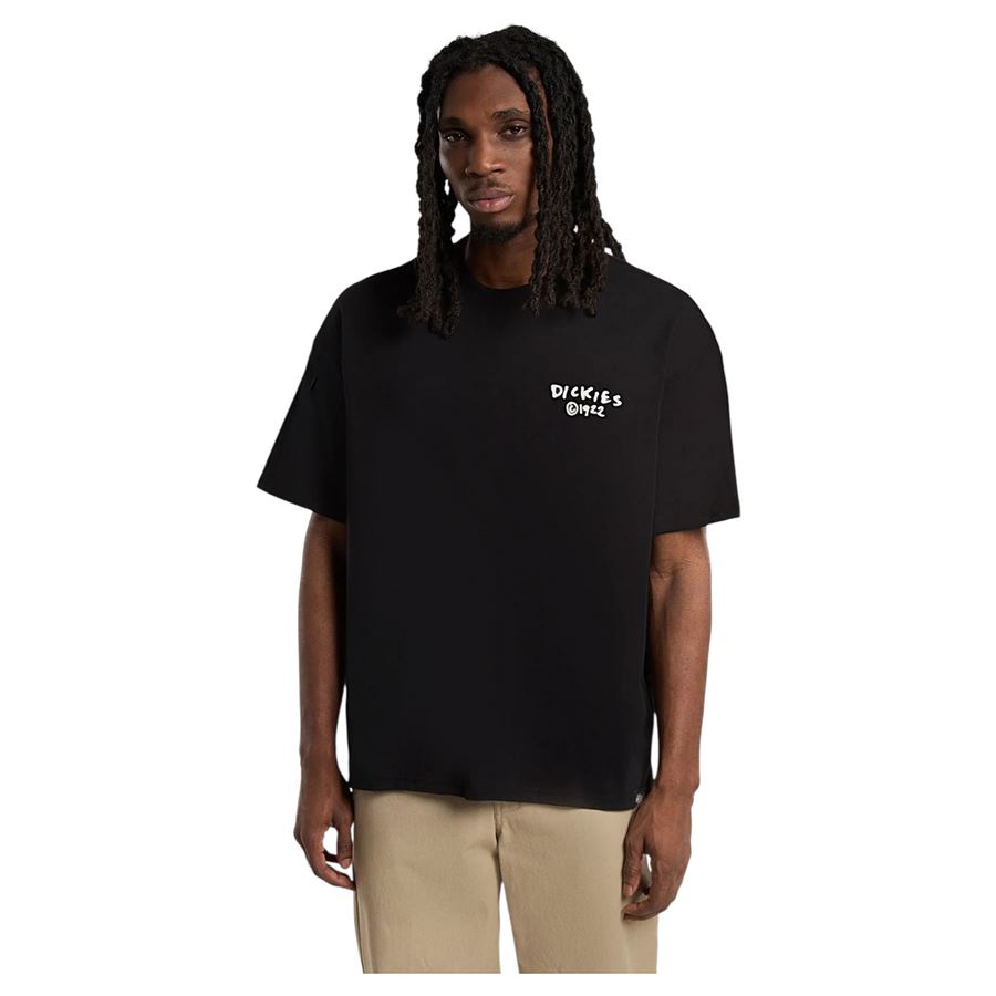 Sneedville Tee SS t-shirt maniche corte da uomo Dickies | DK0A87QOBLK
