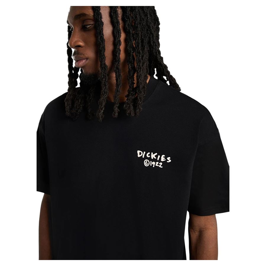 Sneedville Tee SS t-shirt maniche corte da uomo Dickies | DK0A87QOBLK