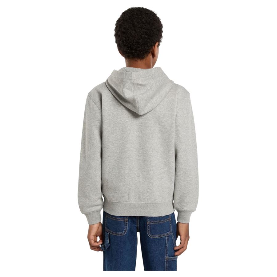 Oakport felpa con cappuccio e zip intera da bambino Dickies | DK0A88BO0H2