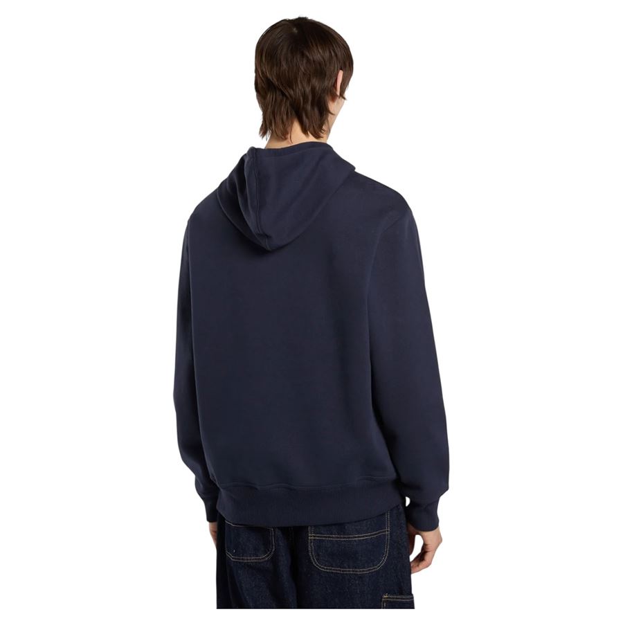 Forth Shaw Hoodie felpa con cappuccio da uomo Dickies | DK0A88L4L18