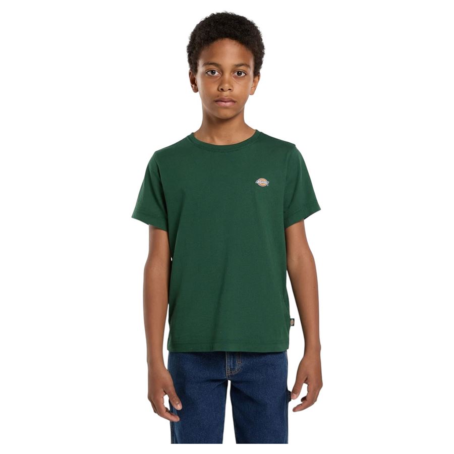 K Youth Mapleton Tee t-shirt manica corta da bambino Dickies | DK0KSR64PIN